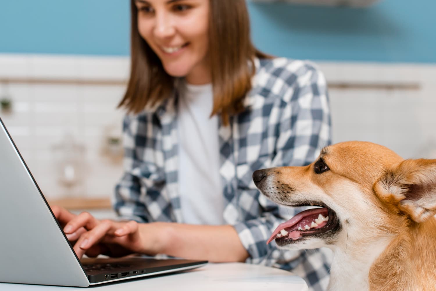 Mulher sorrindo usando laptop em uma cozinha, com um cachorro ao lado olhando para ela.